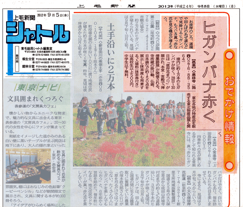 恩林寺 彼岸花まつり 上毛新聞社様 東毛版「シャトル」に見頃を紹介される