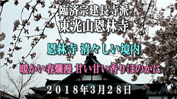 �ՍϏ@�������h�����R���ю� ���ю� ���X���������������̎U��