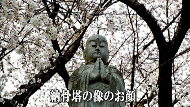 �ՍϏ@�������h�����R���ю� ���ю� ���X���������������̎U��