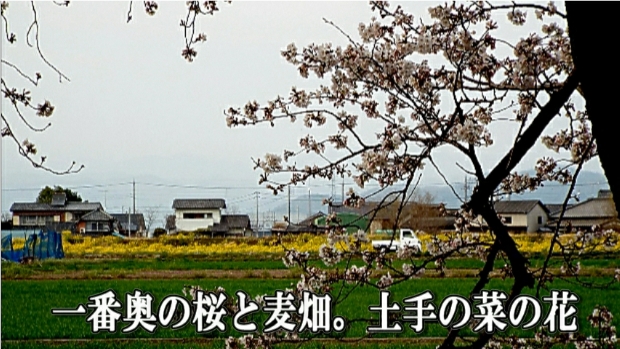 �ՍϏ@�������h�����R���ю� ���ю� ���X���������������̎U��