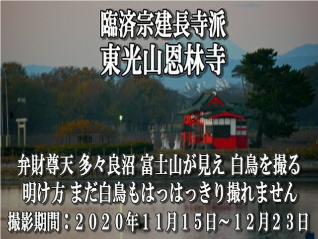 �ՍϏ@�������h �����R���ю� ���X�Ǐ� �ٓV�l �x�m�R ���� �� ���B�e