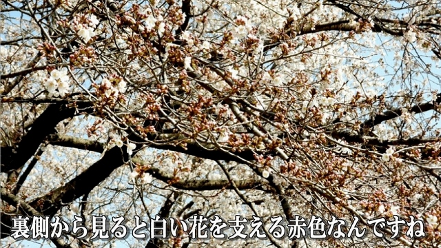 ՍϏ@hRю ю̍炫