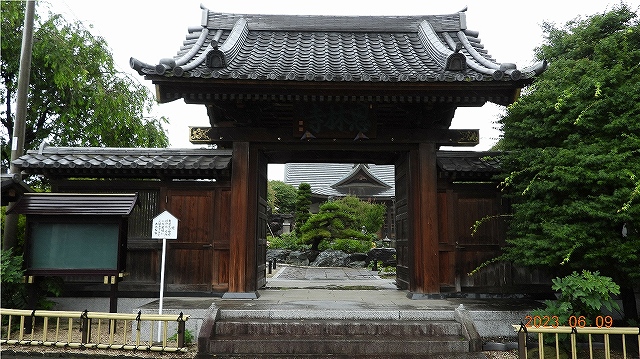 臨済宗建長寺派 東光山 恩林寺 紫陽花 開花情報 2回