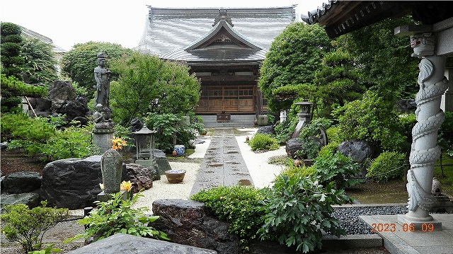 臨済宗建長寺派 東光山 恩林寺 紫陽花 開花情報 2回