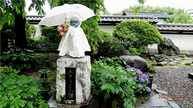 臨済宗建長寺派 東光山 恩林寺 紫陽花 開花情報 2回