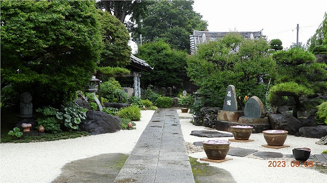 臨済宗建長寺派 東光山 恩林寺 紫陽花 開花情報 2回