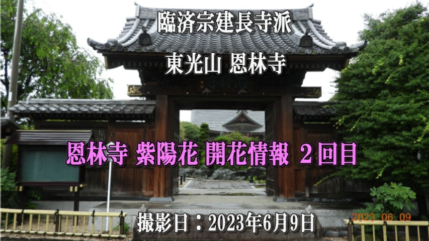 �ՍϏ@�������h �����R ���ю� ���z�� �J�ԏ�� �Q���