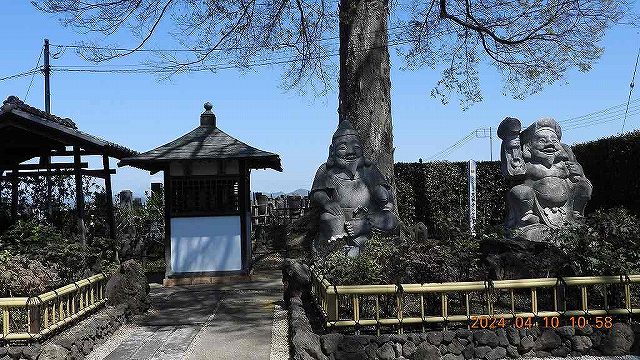 臨済宗建長寺派 東光山恩林寺 桜 満開情報